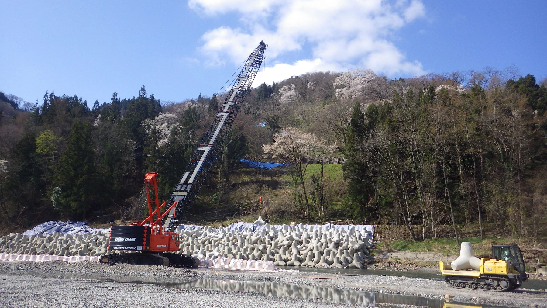 川岸に根固めブロックを据え付けるクローラクレーン。対岸の山は桜が咲いている