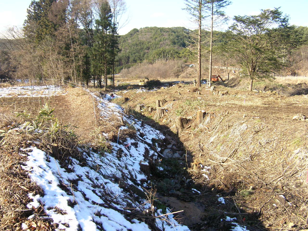 残雪の残る沢筋。木を伐り出したあとの切り株が並び、奥に重機が入る