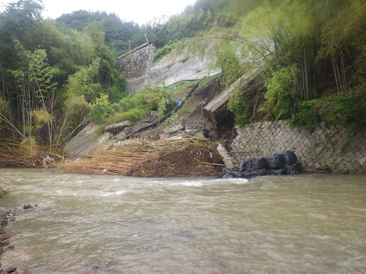 被災時の川岸。斜面が崩れて竹が倒れ、川べりに黒い土のうが積まれている