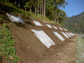 一般国道19号線（生坂村古坂）